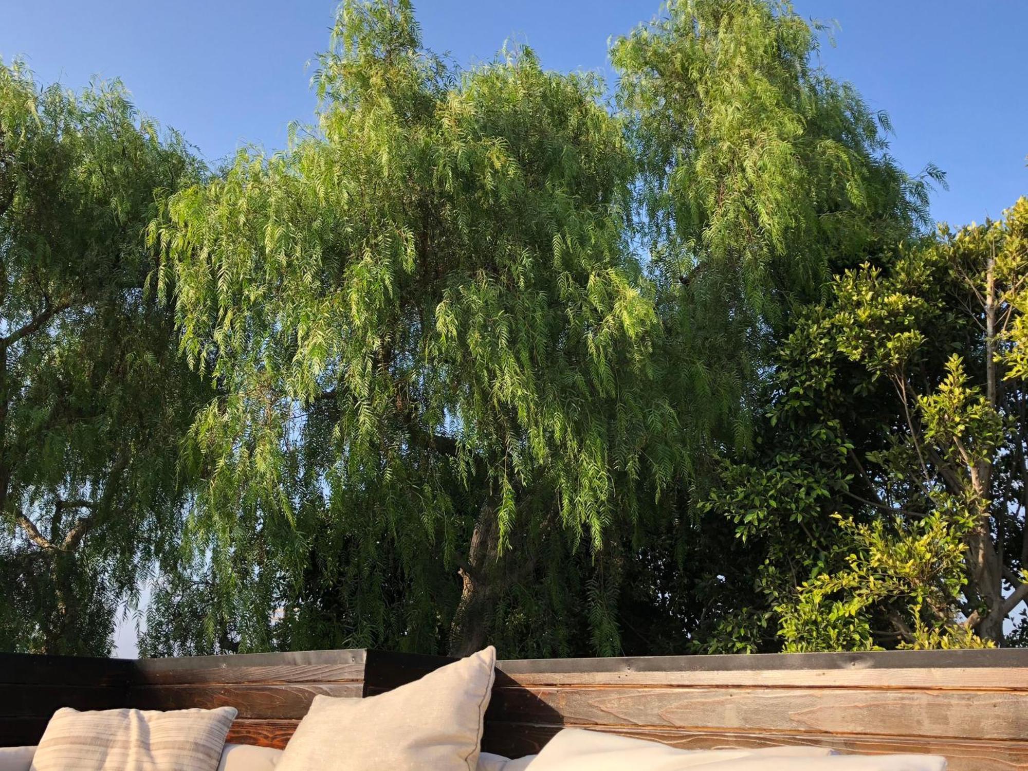 Venice Beach Studio With Large Private Patio Steps To The Beach Λος Άντζελες Εξωτερικό φωτογραφία