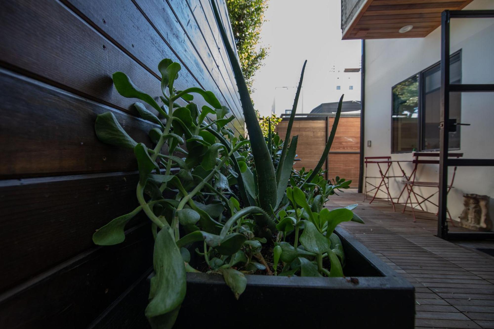 Venice Beach Studio With Large Private Patio Steps To The Beach Λος Άντζελες Εξωτερικό φωτογραφία