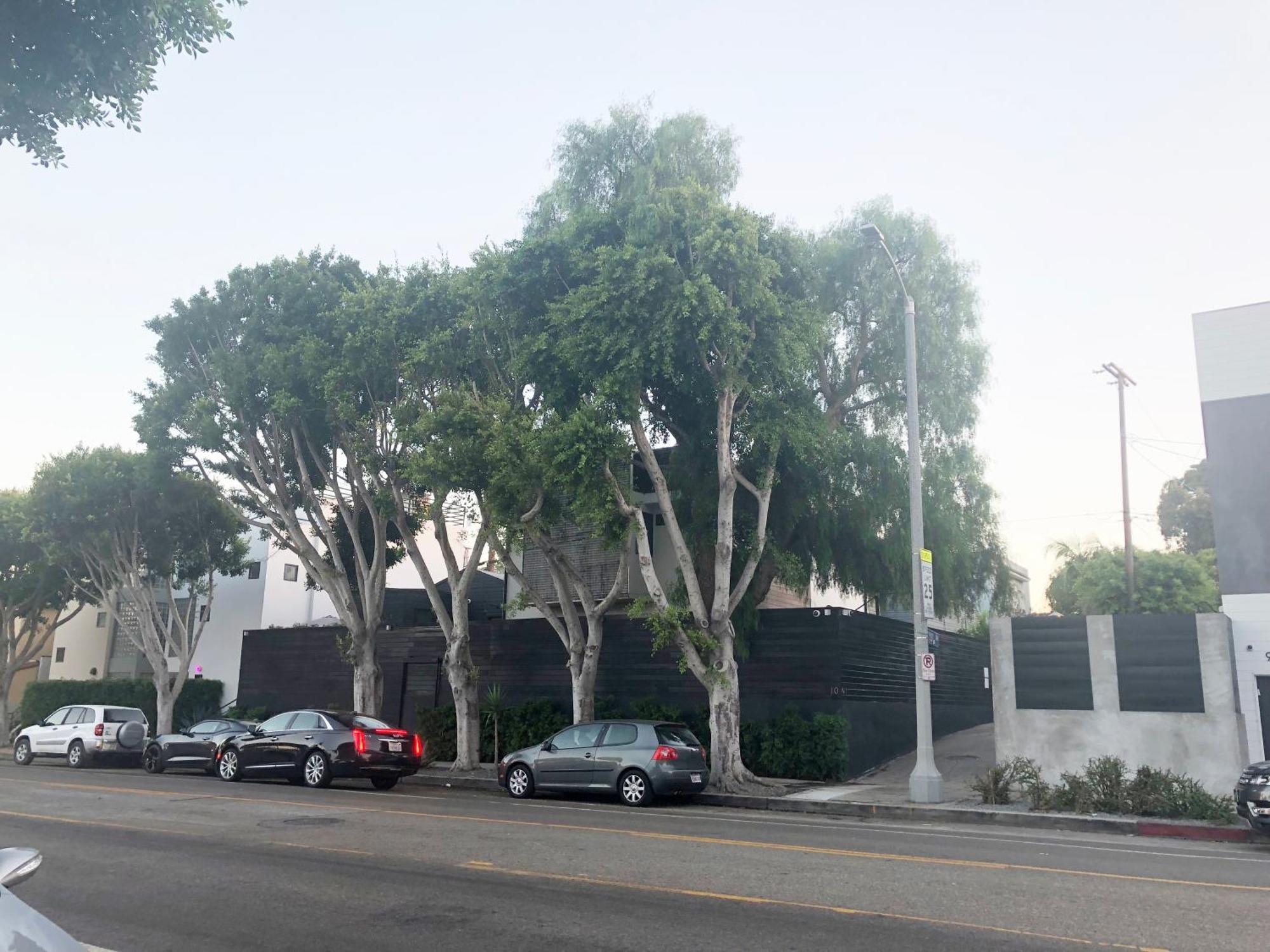 Venice Beach Studio With Large Private Patio Steps To The Beach Λος Άντζελες Εξωτερικό φωτογραφία