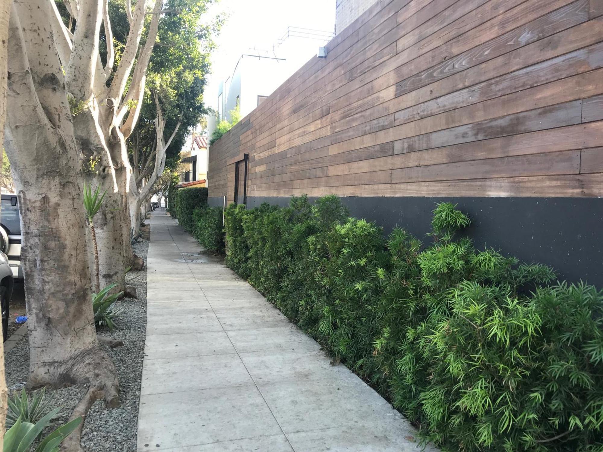 Venice Beach Studio With Large Private Patio Steps To The Beach Λος Άντζελες Εξωτερικό φωτογραφία