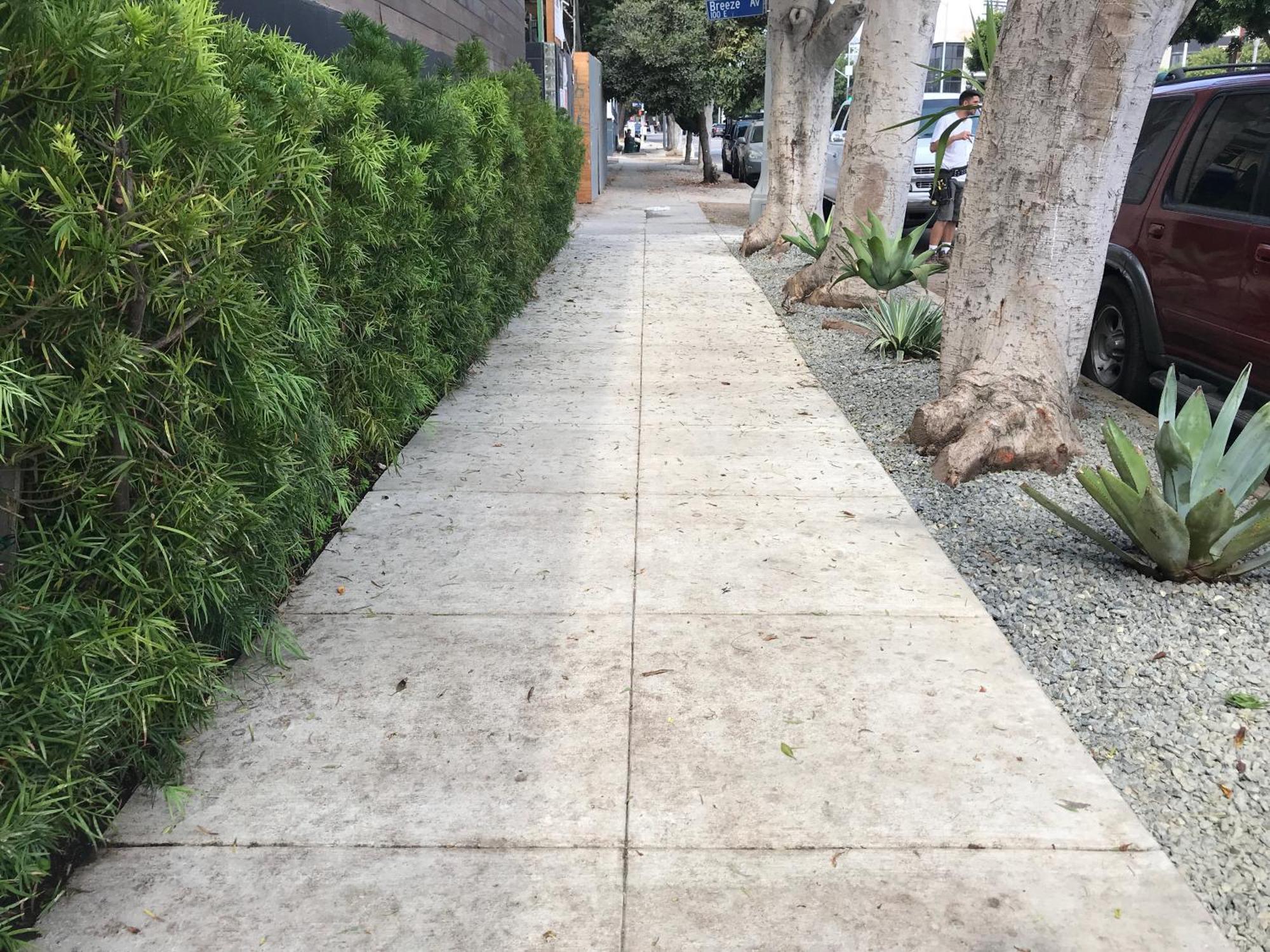 Venice Beach Studio With Large Private Patio Steps To The Beach Λος Άντζελες Εξωτερικό φωτογραφία